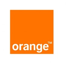 Orange Logo